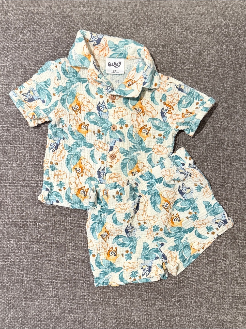 Bluey Tropical Print Two-Piece Set - Teal & Yellow 2T